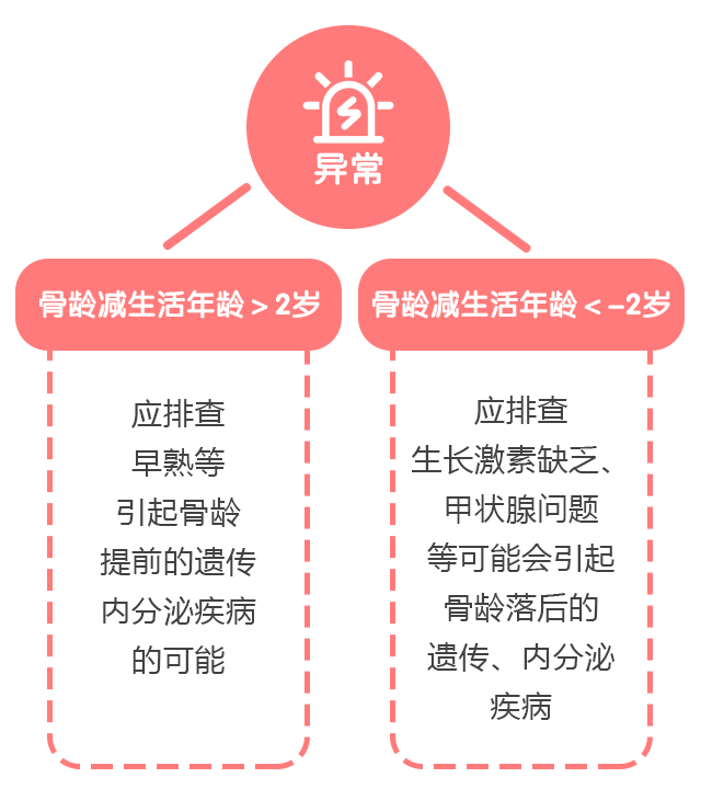 骨龄科普系列（三）：骨龄和身高的关系_03.gif
