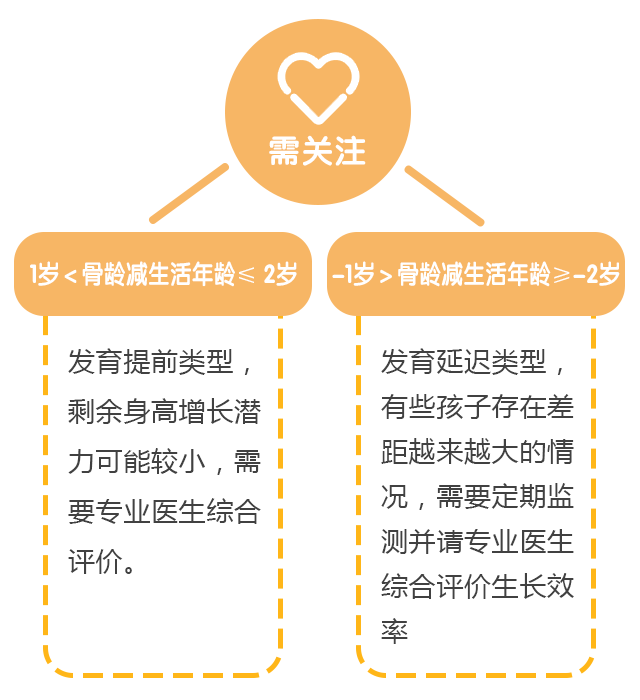 骨龄科普系列（三）：骨龄和身高的关系_04.gif