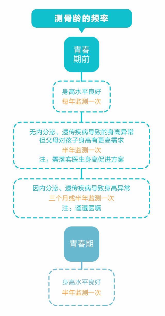 骨龄科普系列（三）：骨龄和身高的关系_06.gif