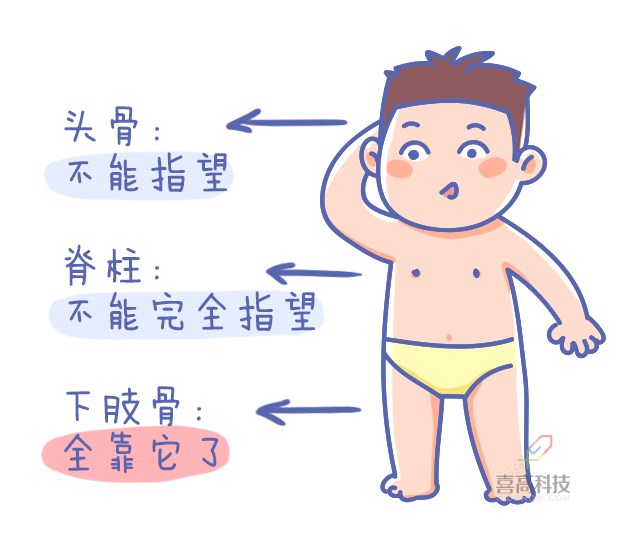 重启骨骺线~你看起来很诱人！_08.png