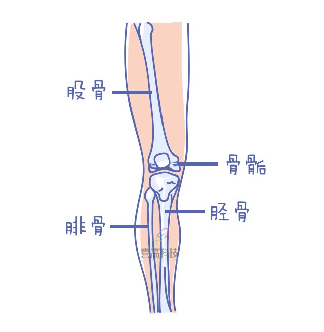 重启骨骺线~你看起来很诱人！_10.png