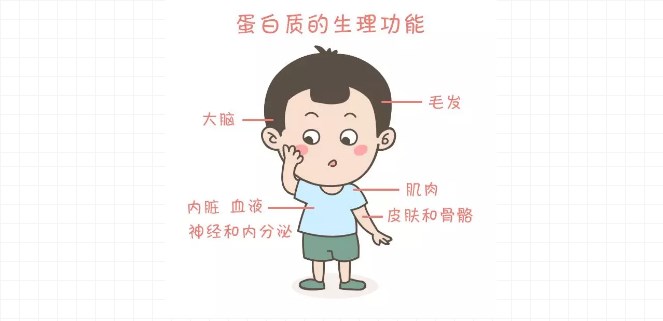 插图.png