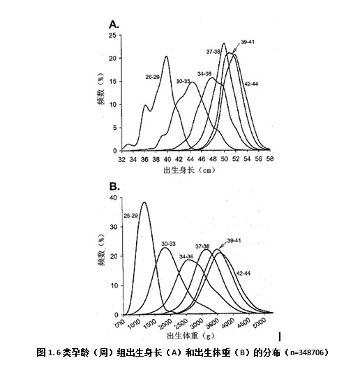 身長 体重 計算