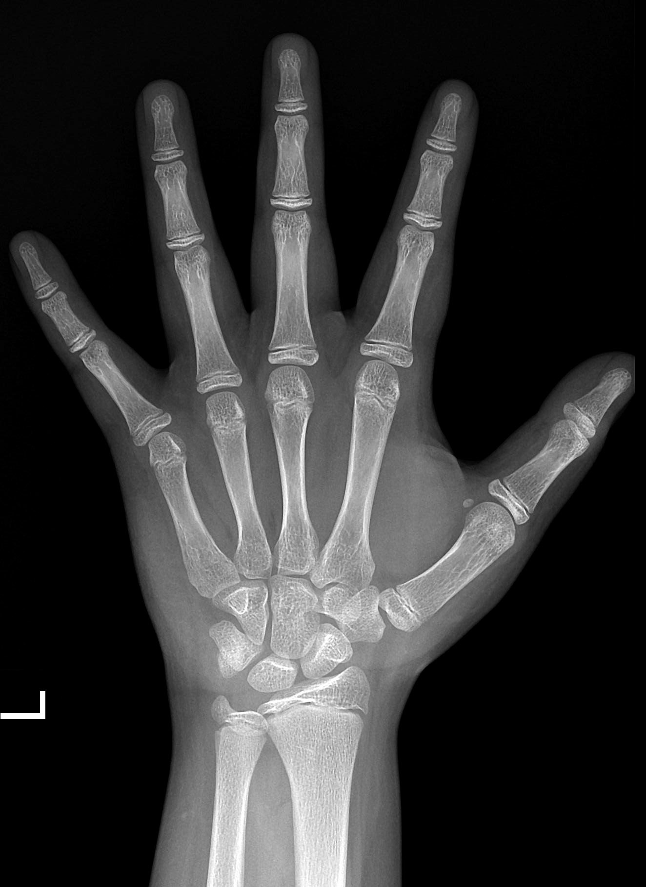 原片-21.png 原片-21.png