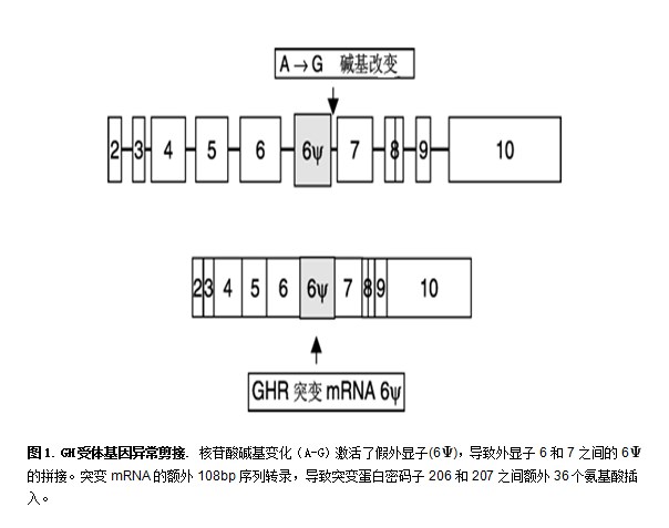 图1.png