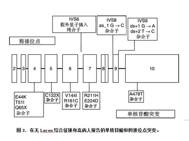 图2.png