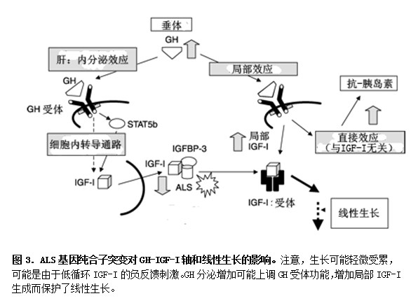 图3.png