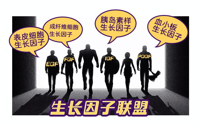 插图_02.gif