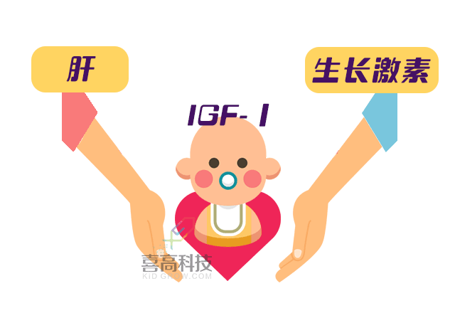 插图_06.gif