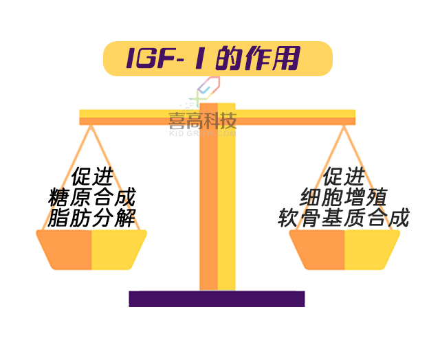 插图_07.gif