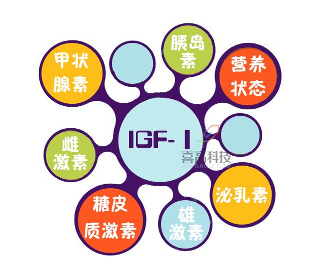 插图_14.gif