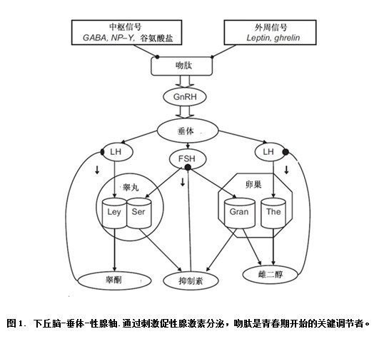 图1.png