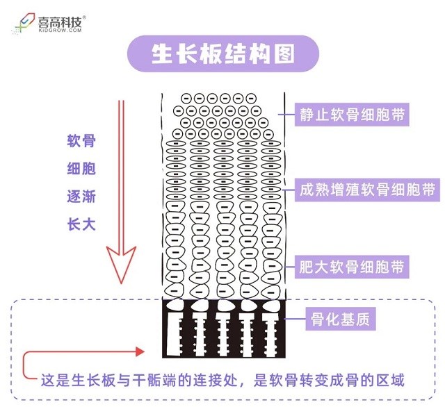 微信图片_20210510100726.jpg