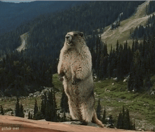 微信图片_20210712095024.gif