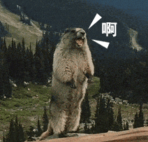 微信图片_20210726110617.gif