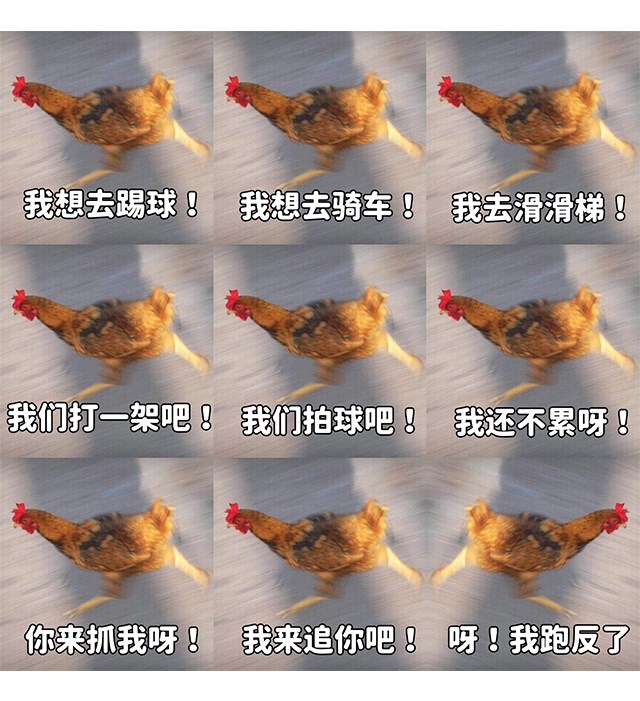 未标题-1_03.png