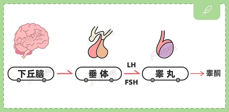 1_画板 1 副本.jpg