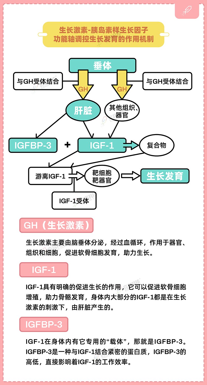 1_画板 1 副本 2.jpg