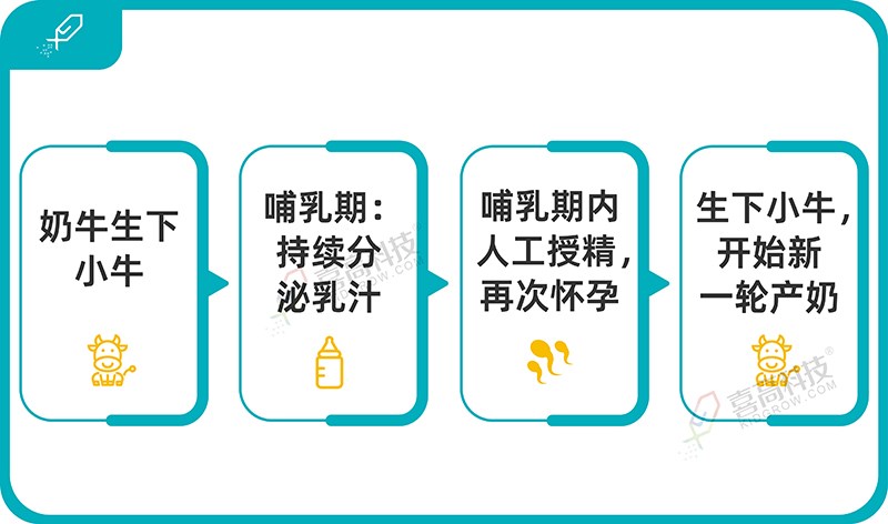 1_画板 1.jpg 1_画板 1.jpg